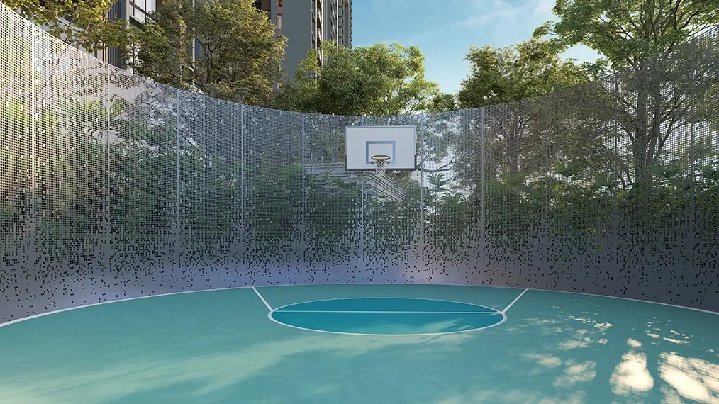Street Basketball Court