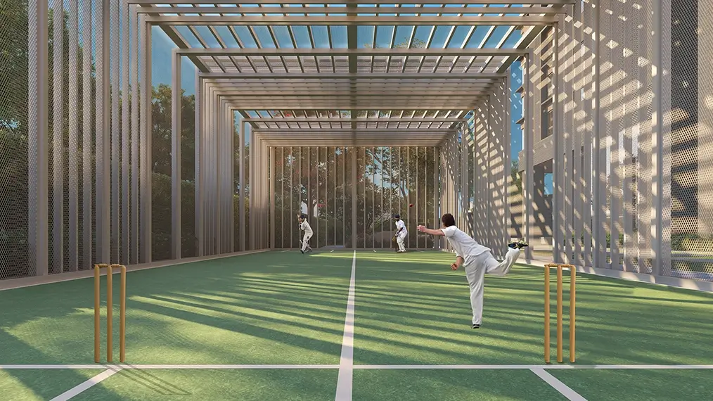Cricket Pitch